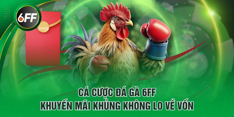 Tham gia đá gà tại 6FF và thắng lớn - Betpioneer
